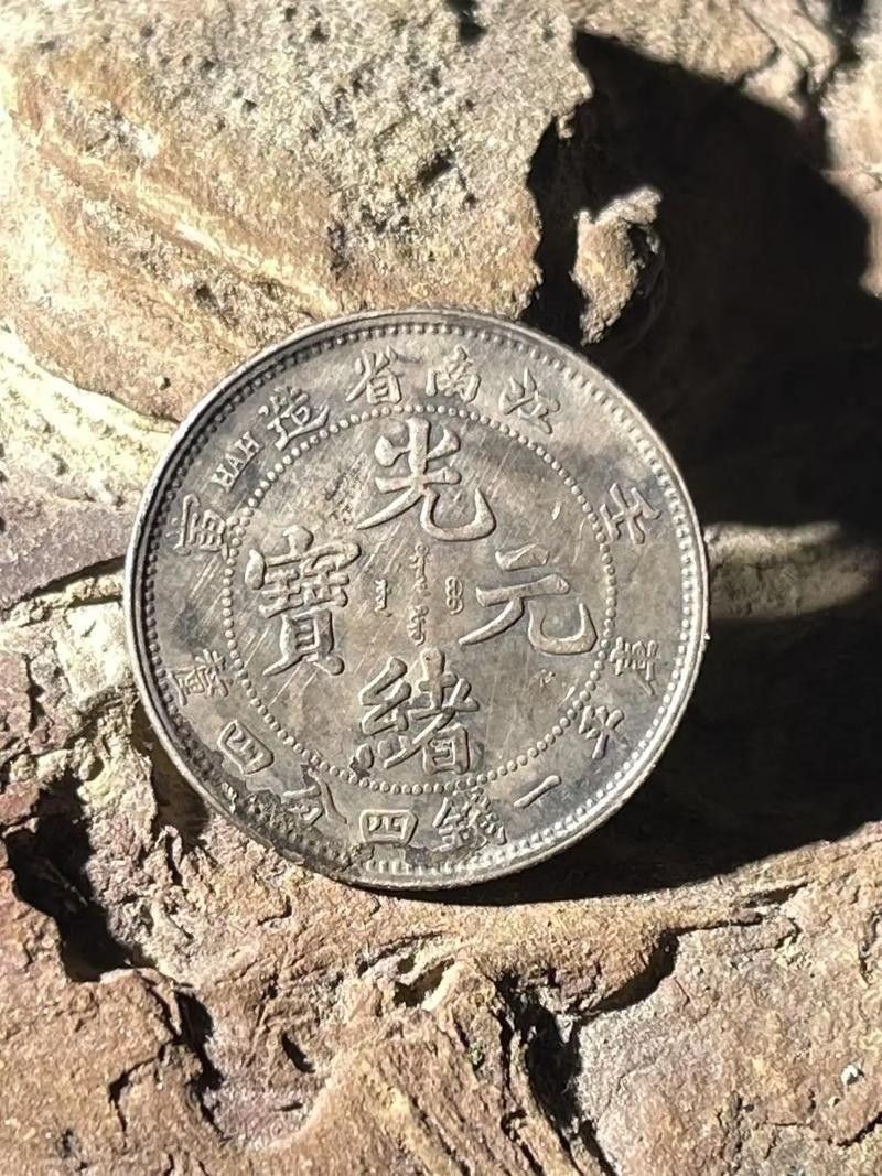 銀龍魚品種圖片大全 銀龍魚品種圖片大全 龍魚百科 第28張
