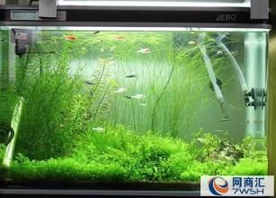 全國魚缸十大品牌排名，全國魚缸十大品牌排名（更新至2024年10月11日更新至2024年10月11日）
