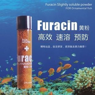 龍魚爛鰭爛尾用什么藥好使：如何判斷龍魚爛鰭爛尾的嚴重程度