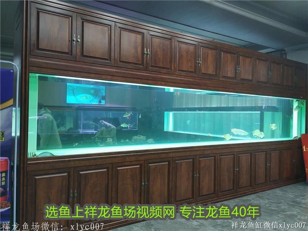 龍魚(yú)兜嘴手術(shù)后多長(zhǎng)時(shí)間長(zhǎng)好：龍魚(yú)兜嘴手術(shù)視頻，詳細(xì)操作指南與注意事項(xiàng)