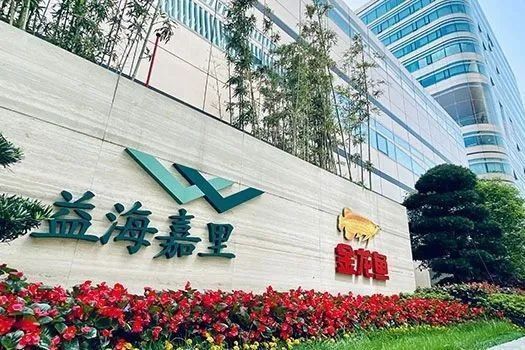 金龍魚市場(chǎng)供需情況 金龍魚市場(chǎng)供需情況 龍魚百科 第3張