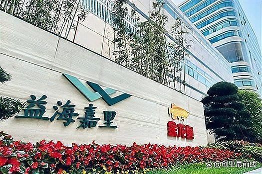 金龍魚市場(chǎng)供需情況 金龍魚市場(chǎng)供需情況 龍魚百科 第1張
