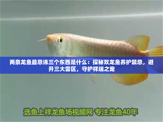 紅龍魚最忌三個(gè)顏色 紅龍魚最忌三個(gè)顏色 龍魚百科 第4張