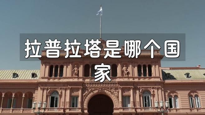 哪些龍貓品種比較健康？
