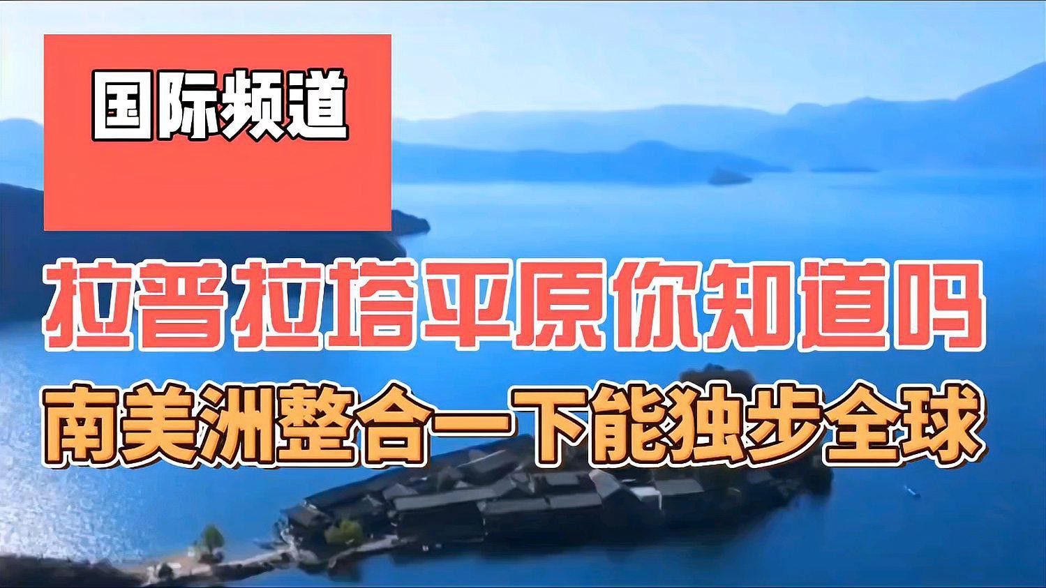 哪些龍貓品種比較健康？