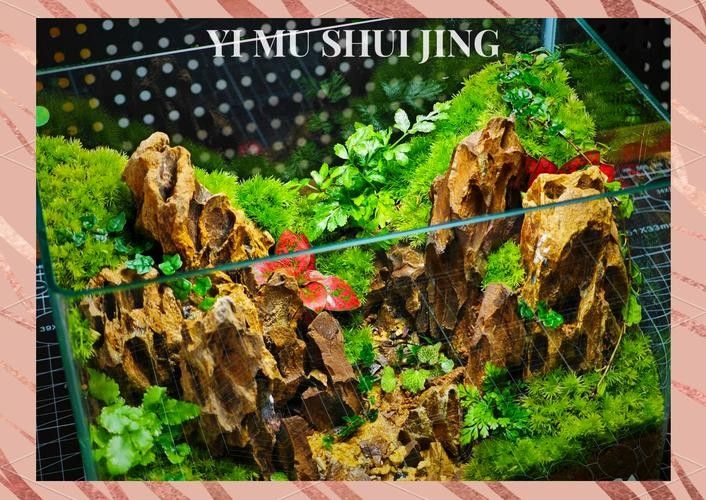 龍魚之家魚缸造景圖片大全 龍魚之家魚缸造景圖片大全 龍魚百科 第37張