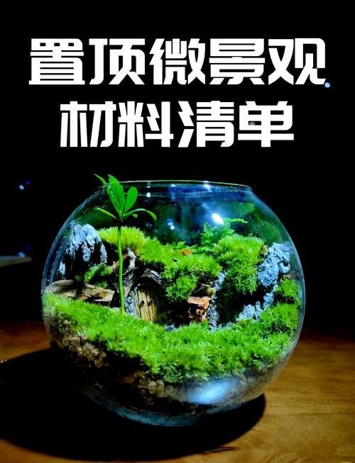 龍魚之家魚缸造景圖片大全 龍魚之家魚缸造景圖片大全 龍魚百科 第36張