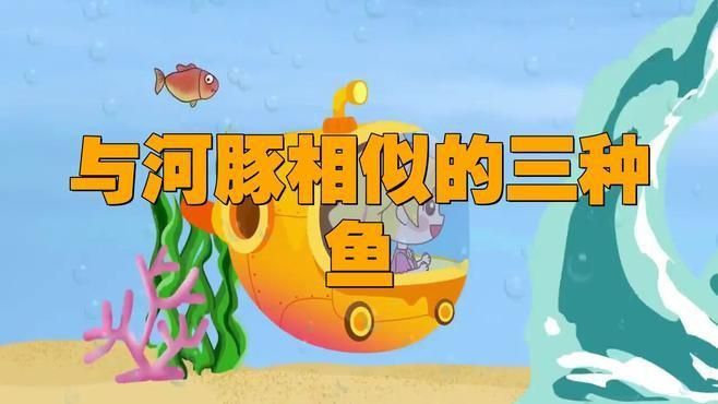酷似河豚的四種魚 酷似河豚的四種魚 龍魚百科 第1張