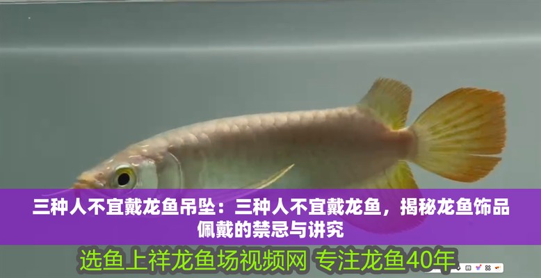 過背金龍魚養多久才上色呢（過背金龍魚的上色時間）