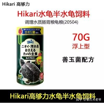 金龍魚批發價目表圖片：金龍魚批發價目表解析，市場價格與選購指南