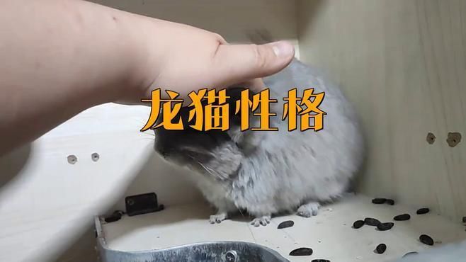 如何預防龍魚再次出現豎立現象？