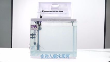 魚缸一般幾天換水最好，如何判斷魚缸水質好壞