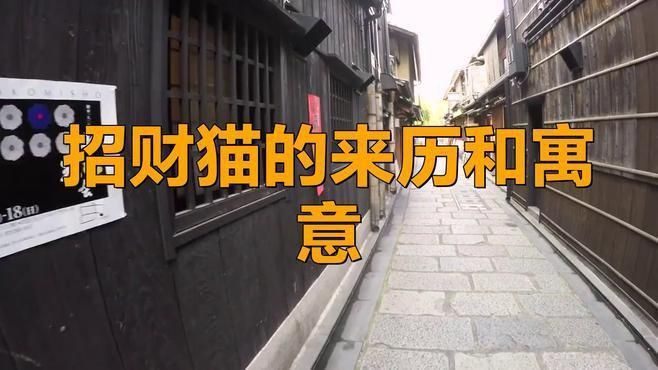 迷你招財貓 龍魚百科 第4張 迷你招財貓 迷你招財貓 龍魚百科 第4張
