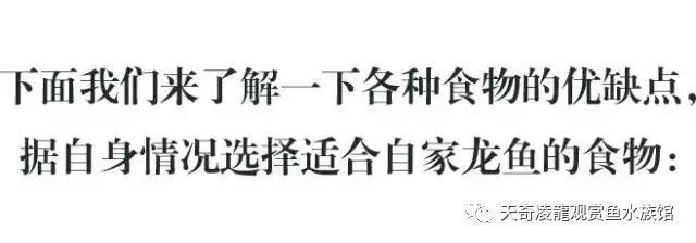 龍魚可以喂火腿腸嗎:龍魚可以喂食火腿腸嗎 龍魚百科 第2張 龍魚可以喂火腿腸嗎:龍魚可以喂食火腿腸嗎 龍魚可以喂火腿腸嗎:龍魚可以喂食火腿腸嗎 龍魚百科 第2張