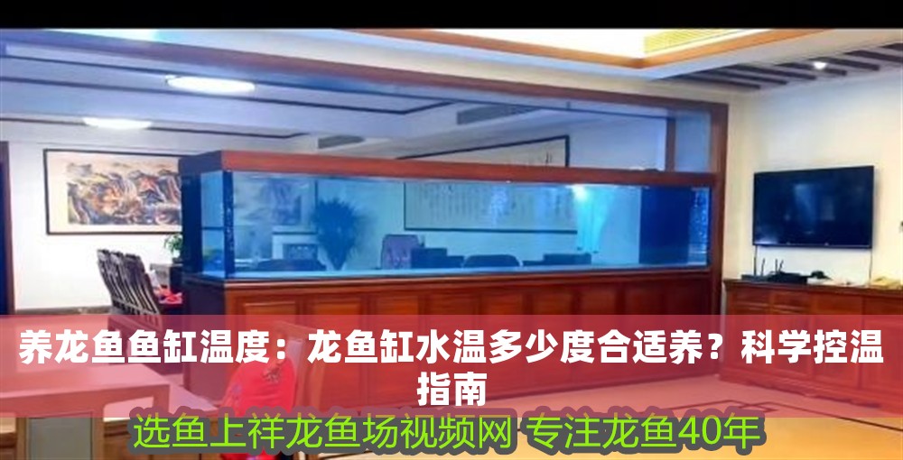 養龍魚魚缸溫度：龍魚缸水溫多少度合適養？科學控溫指南