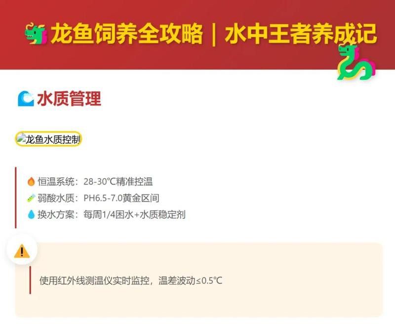 龍魚飼養環境優化需要多長時間見效？
