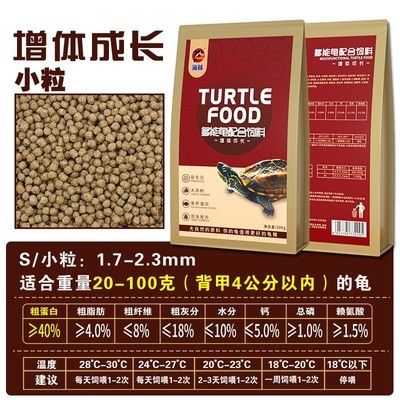 紅龍魚魚苗價格