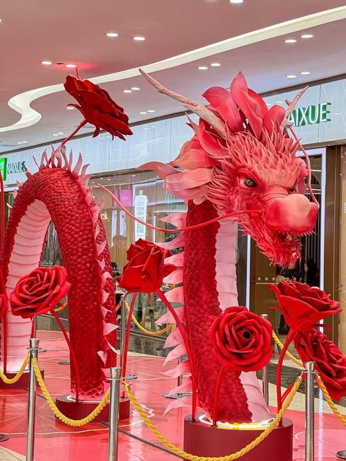 紅龍裝飾品哪個品牌最好？ 紅龍裝飾品哪個品牌最好？ 龍魚百科 第6張