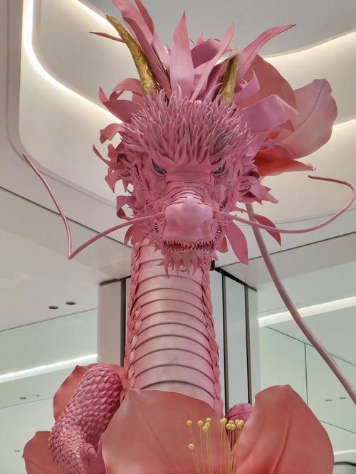 紅龍裝飾品哪個品牌最好？ 紅龍裝飾品哪個品牌最好？ 龍魚百科 第8張