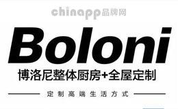 紅龍裝飾品哪個品牌最好？ 紅龍裝飾品哪個品牌最好？ 龍魚百科 第12張