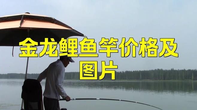 金龍魚魚桿價格圖片
