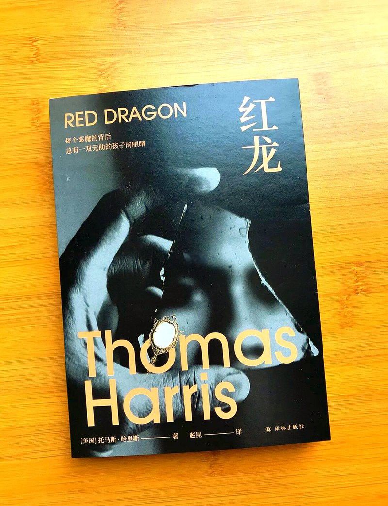 《紅龍》小說有哪些評價？