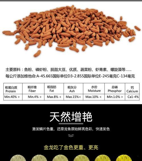 高背金龍魚發色過程圖片欣賞