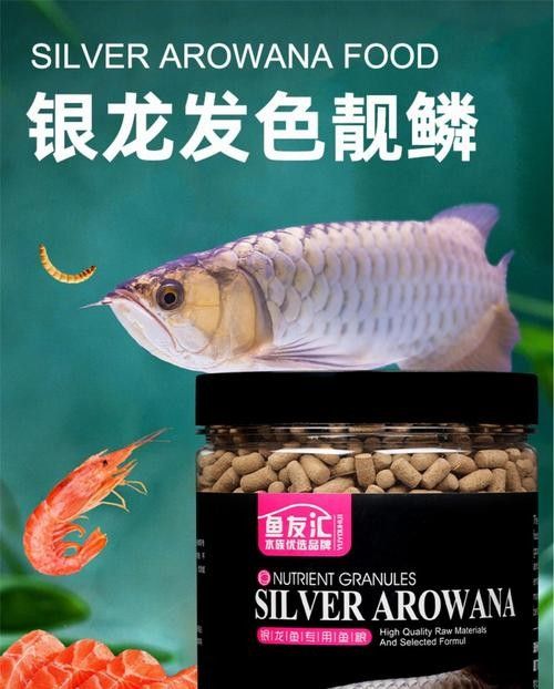 高背金龍魚發色過程圖片欣賞