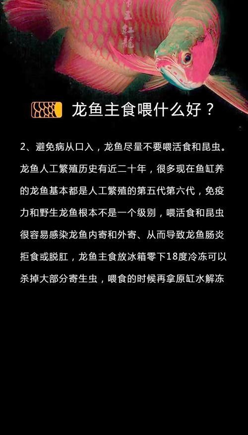 高背金龍魚發色過程圖片欣賞