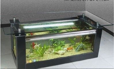 龍魚過缸怎樣處理：龍魚過缸怎么處理，龍魚過缸處理方法和步驟和方法