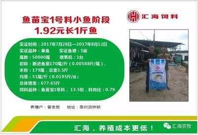 魚(yú)苗飼料選購(gòu)指南：魚(yú)苗飼料的選購(gòu)指南