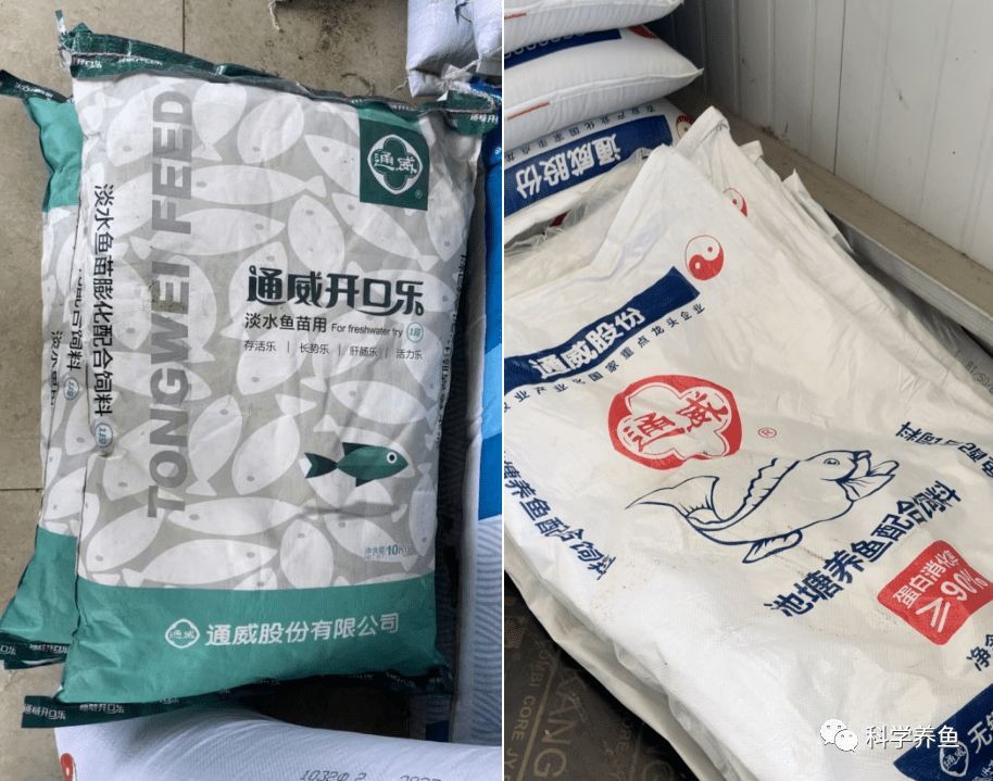 魚(yú)苗飼料選購(gòu)指南：魚(yú)苗飼料的選購(gòu)指南