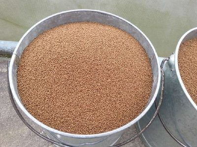 魚(yú)苗飼料選購(gòu)指南：魚(yú)苗飼料的選購(gòu)指南