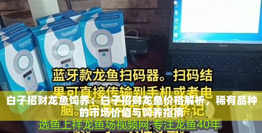 白子招財龍魚飼養：白子招財龍魚價格解析，稀有品種的市場價值與飼養指南