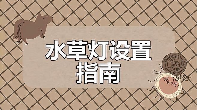 龍魚缸改草缸用什么燈