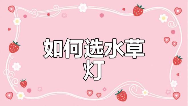 龍魚缸改草缸用什么燈