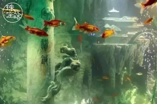 東海龍宮御龍魚缸介紹圖片欣賞