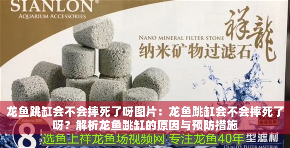龍魚跳缸會不會摔死了呀圖片：龍魚跳缸會不會摔死了呀？解析龍魚跳缸的原因與預防措施