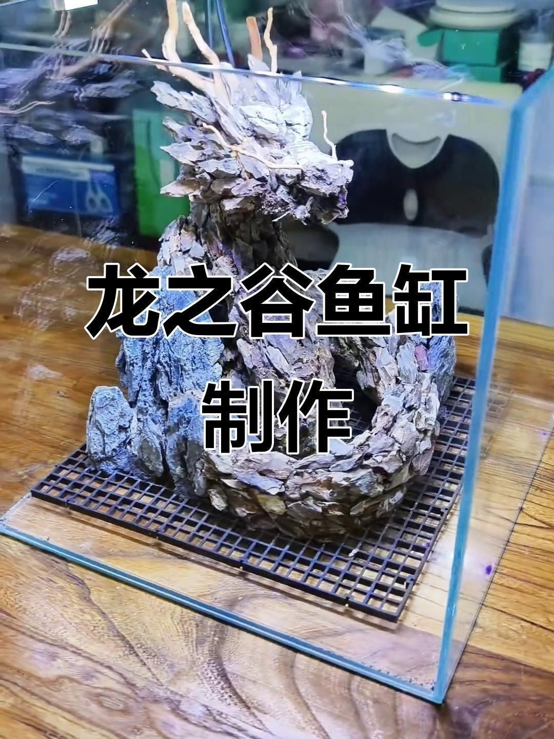 龍魚缸內裝飾品推薦 龍魚缸內裝飾品推薦 龍魚百科 第6張