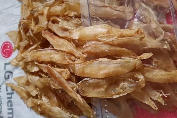 金龍魚膠泡發不是白色的正常嗎：金龍魚膠泡發后不是白色是完全正常的嗎 金龍魚膠泡發不是白色的正常嗎：金龍魚膠泡發后不是白色是完全正常的嗎 龍魚百科 第1張