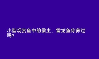 紅龍魚養幾年后不生長了