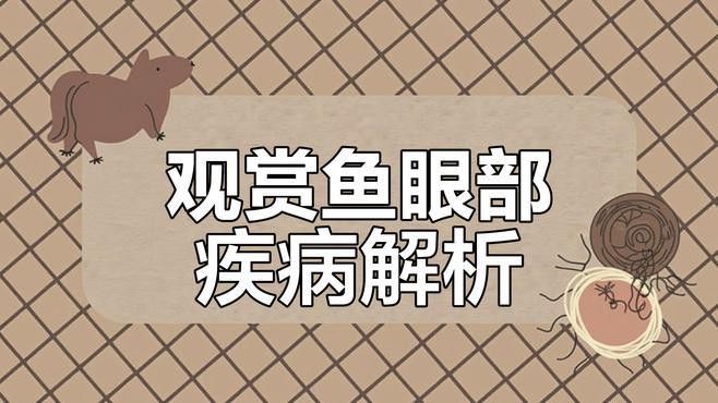 如何判斷黑龍睛金魚是否患病？