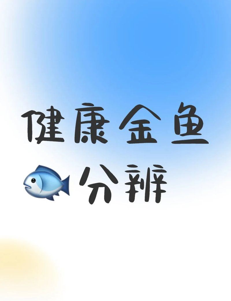 如何判斷黑龍睛金魚是否患病？