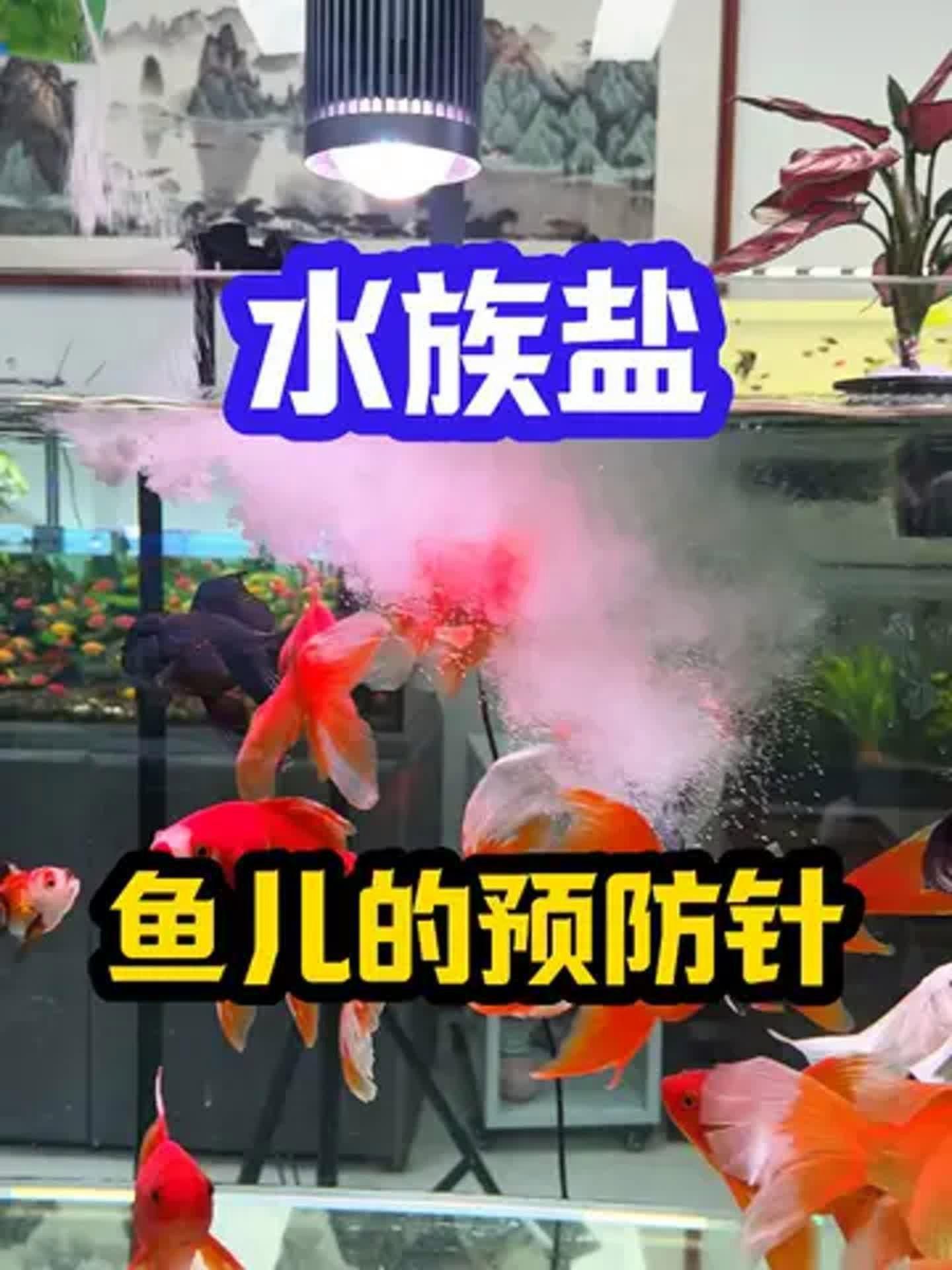 馬印水族魚缸用什么鹽 馬印水族魚缸用什么鹽 龍魚百科 第3張