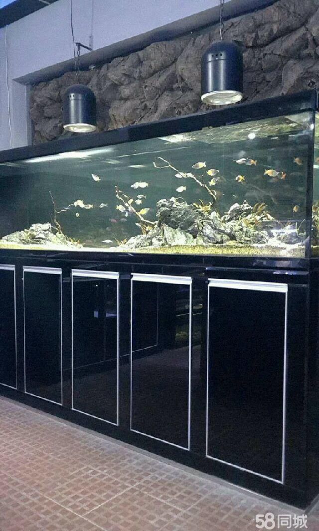 濰坊二手魚缸轉讓58同城電話多少(濰坊二手魚缸轉讓58同城電話多少啊)