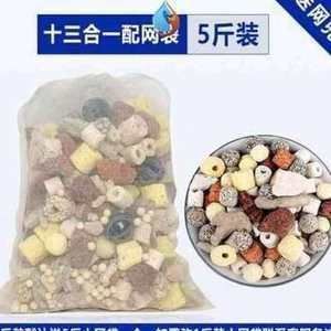 龍魚溫度低翻了：龍魚水溫過低境下的適應性問題，如何處理龍魚溫度低翻