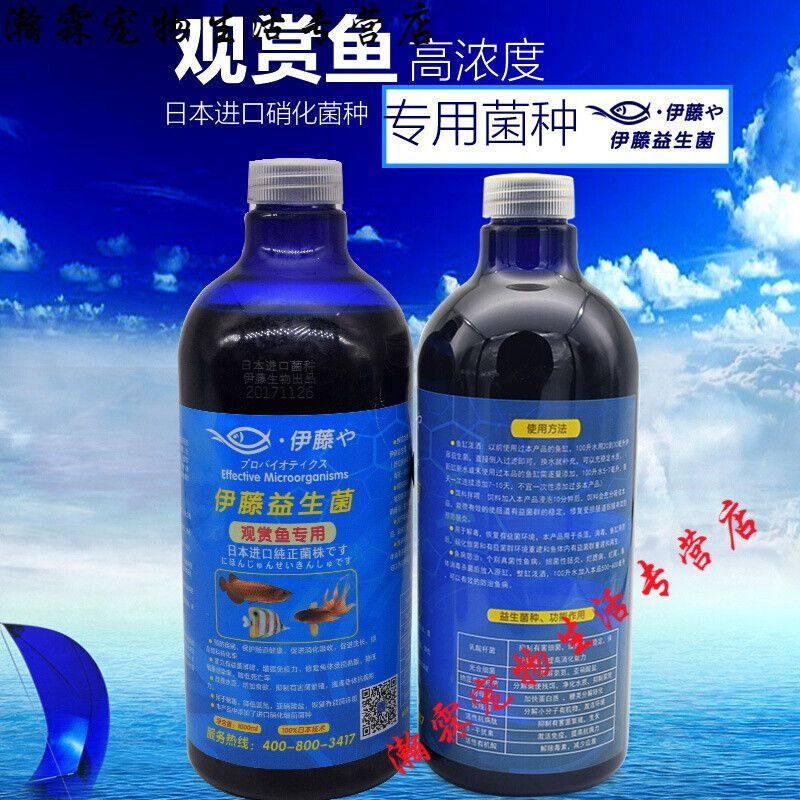 和龍魚搭配的魚（飼養龍魚的缸內必備配魚）