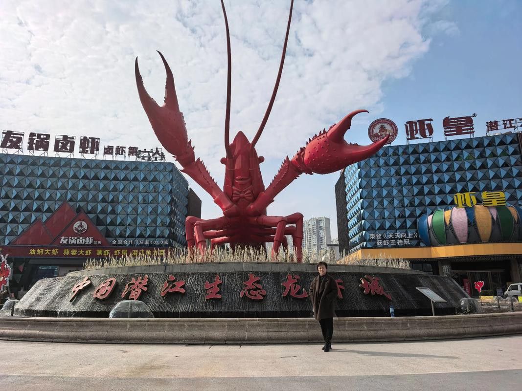 濰坊哪里有賣龍魚的地方呀圖片 濰坊哪里有賣龍魚的地方呀圖片 龍魚百科 第25張