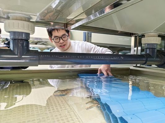 龍魚經常撞缸：龍魚撞缸的原因、預防措施以及處理方法