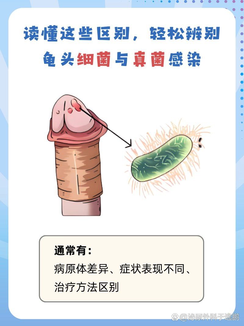 如何判斷珠鱗是否因細(xì)菌感染